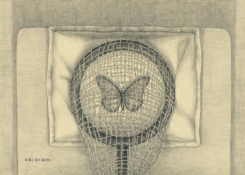 BUTTERFLY NET BOY_2